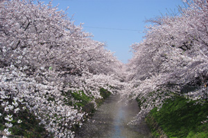 御用水跡街園