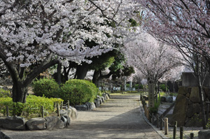 清洲公園