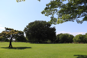 庄内緑地公園