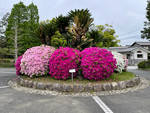 浅野公園