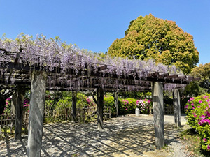 浅野公園