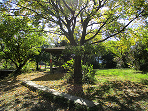 岩倉市自然生態園