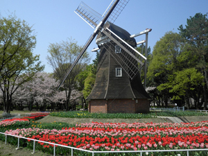 名城公園フラワープラザ